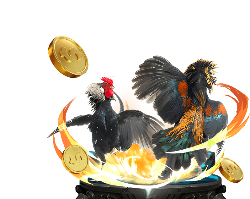 PH779 Sabong game, traditional cockfighting betting